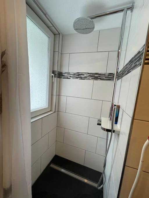 Schoene Wohnung In Unterterzen Am Schoenen Walensee Zewnętrze zdjęcie